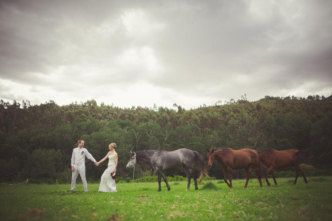 Grand Dedale Country House Wellington Dış mekan fotoğraf